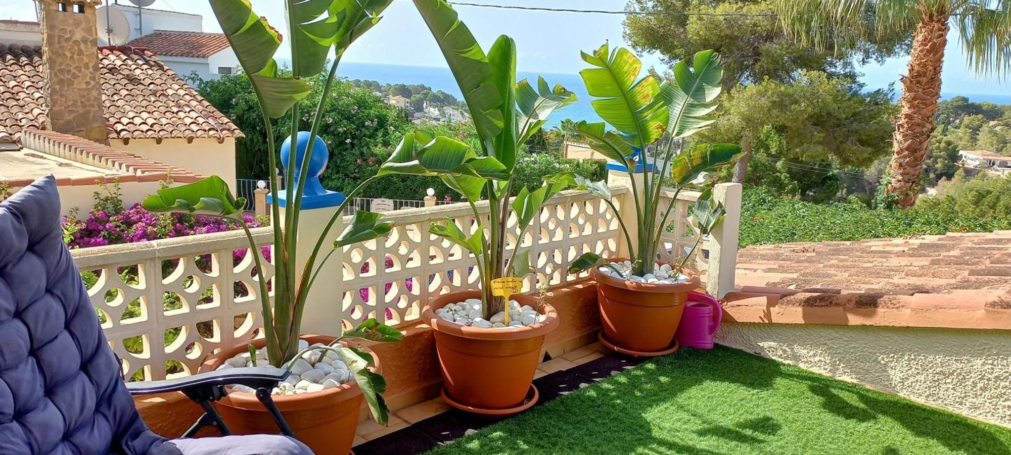 Villa Mimosa Морайра Экстерьер фото